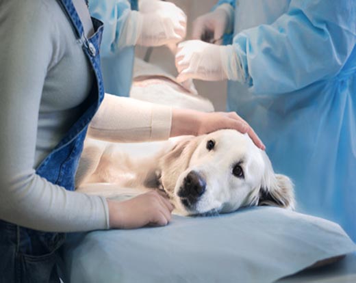 Servicio de Esterilización
