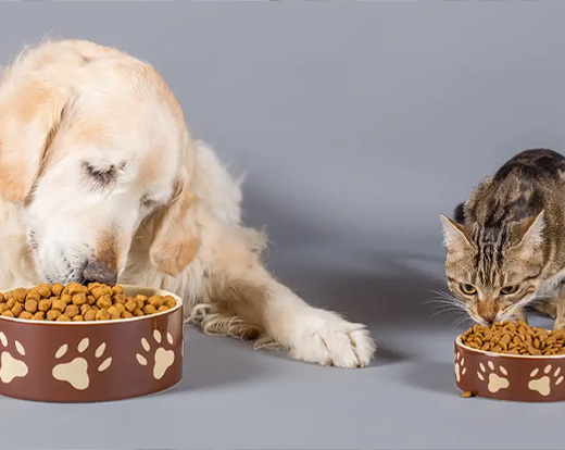 Dotación de Alimentos