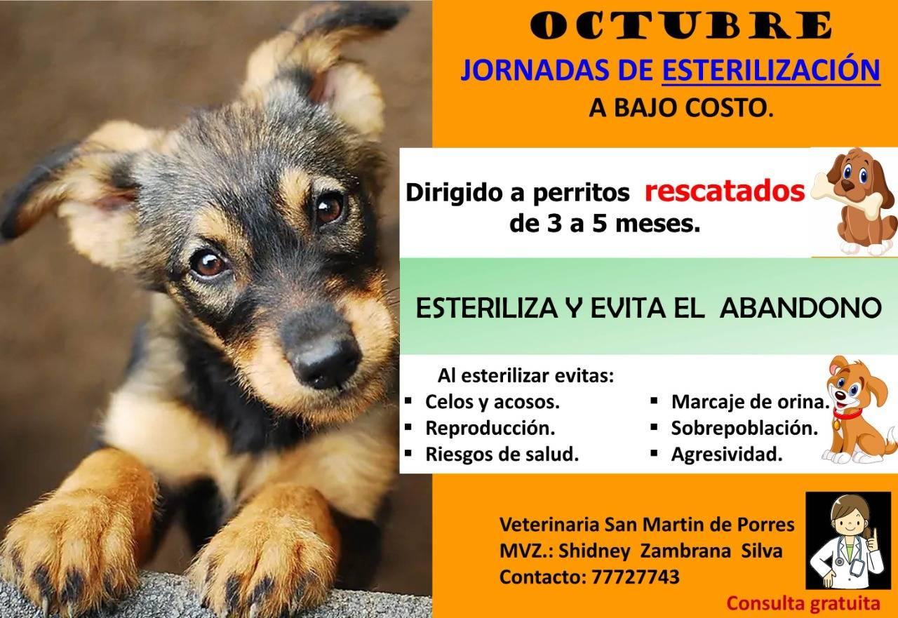 CAMPANA DE ESTERILIZACION
